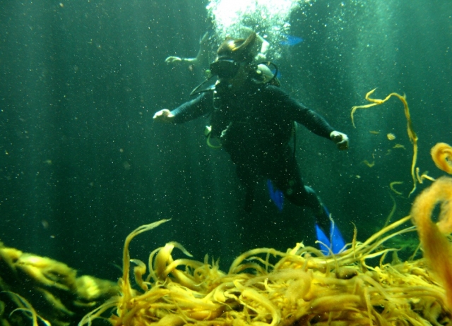  Végétation aquatique 